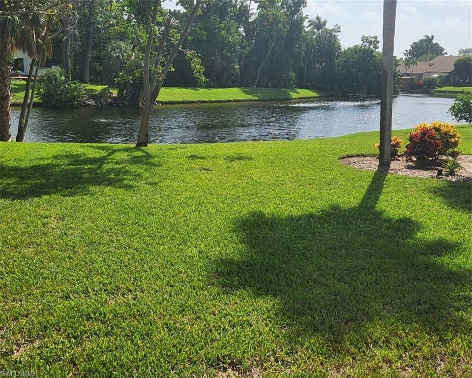 Lake View from Deck