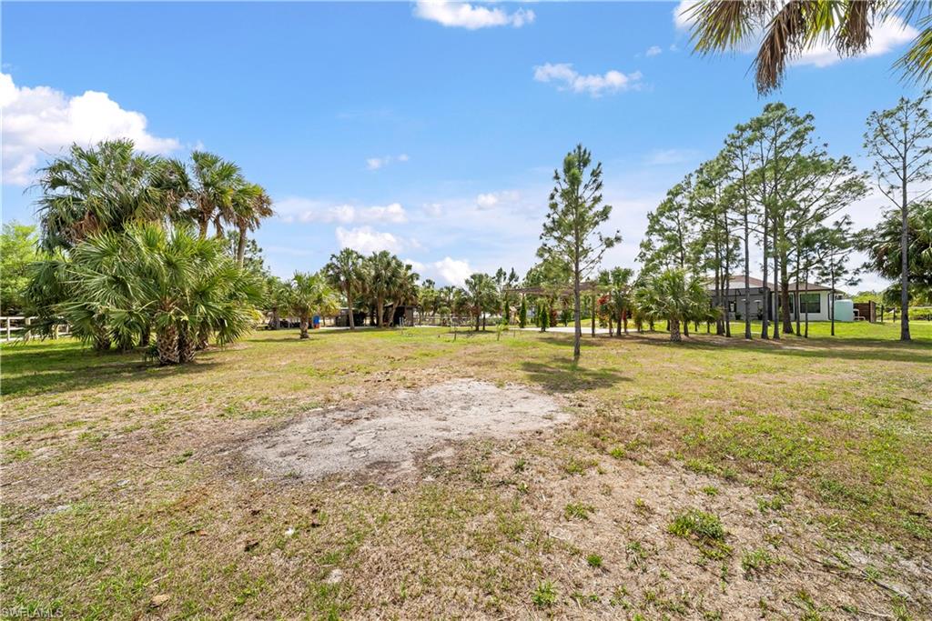View of grassy yard