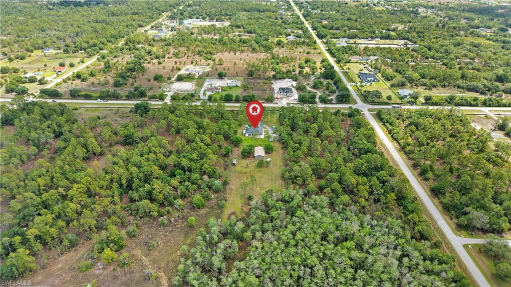 Aerial view of a forest