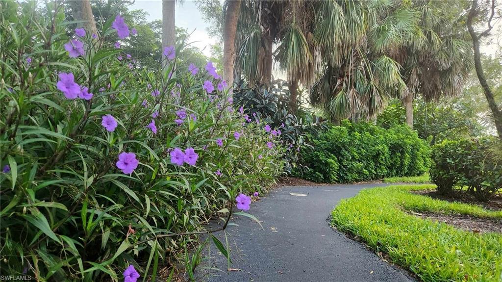 23821 Marbella Bay RD 102 photo 29