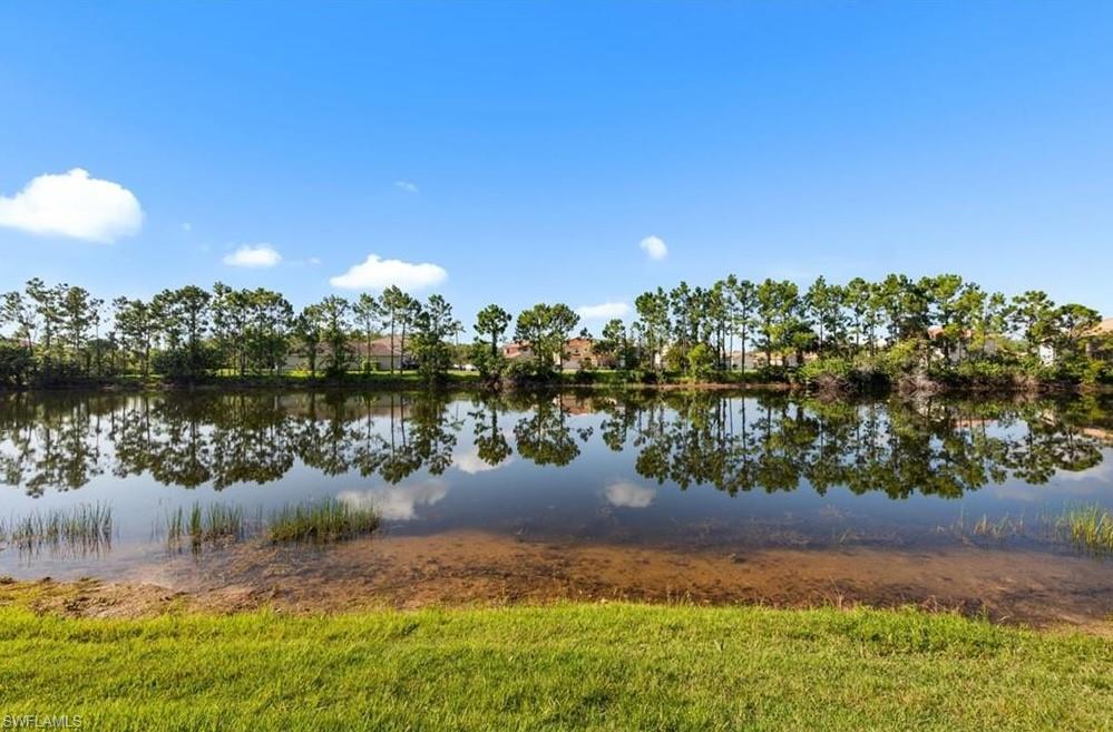 10135 Colonial Country Club BLVD 1208 photo 23
