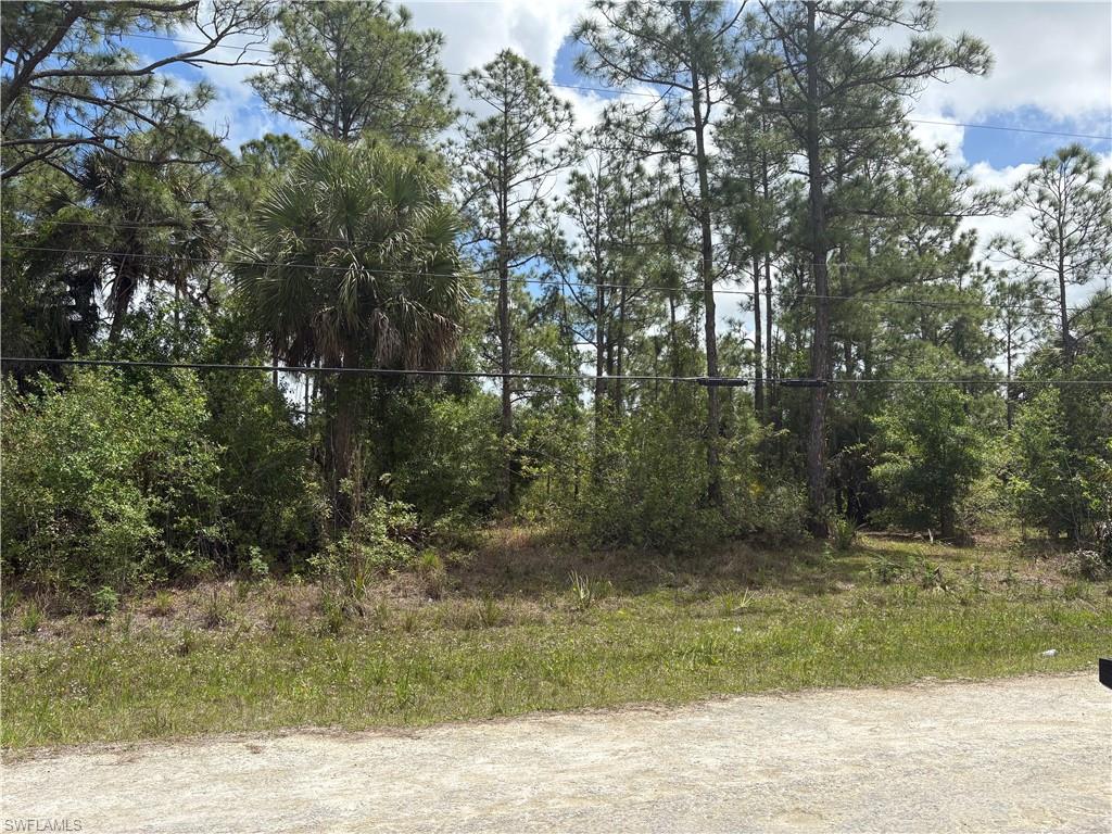 Front view of lot.