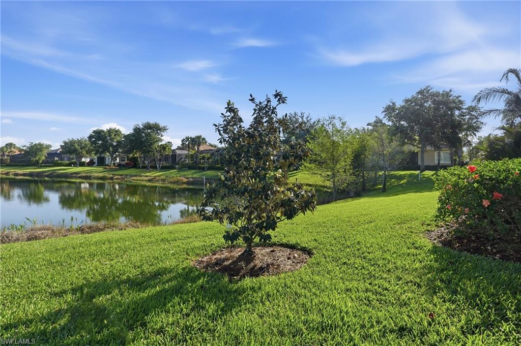 5672 Whispering Willow WAY photo 41