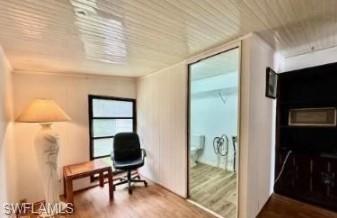 5 Bass LN 5 photo 23