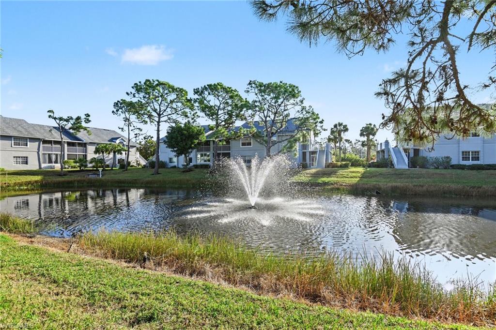 Water Feature