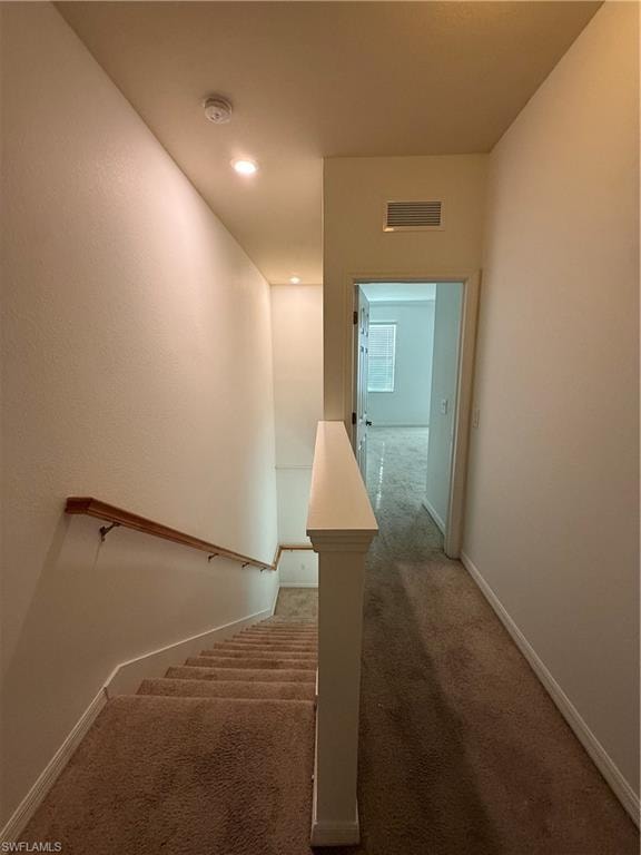 10020 Via Colomba CIR photo 21