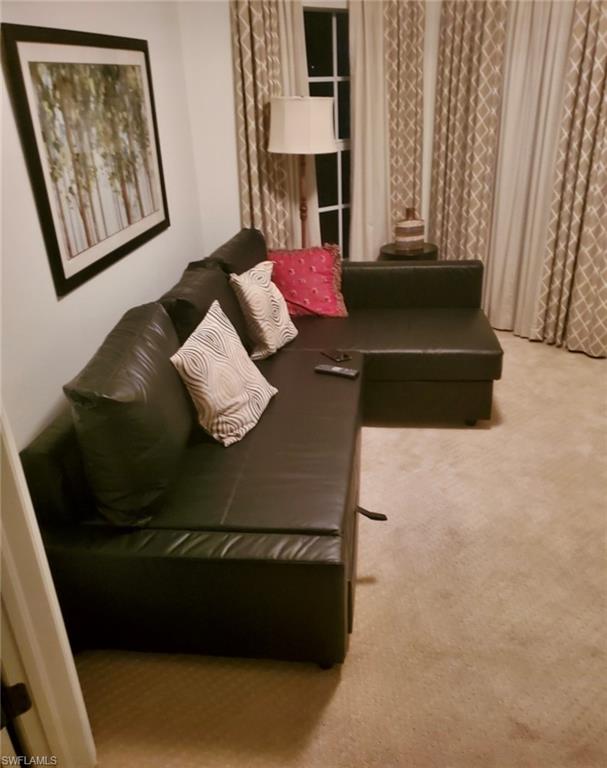 New pull out sofa