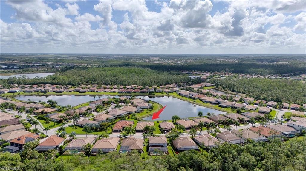 11015 Longwing DR photo 38