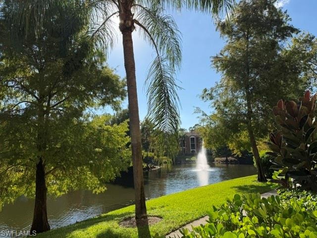 Water view