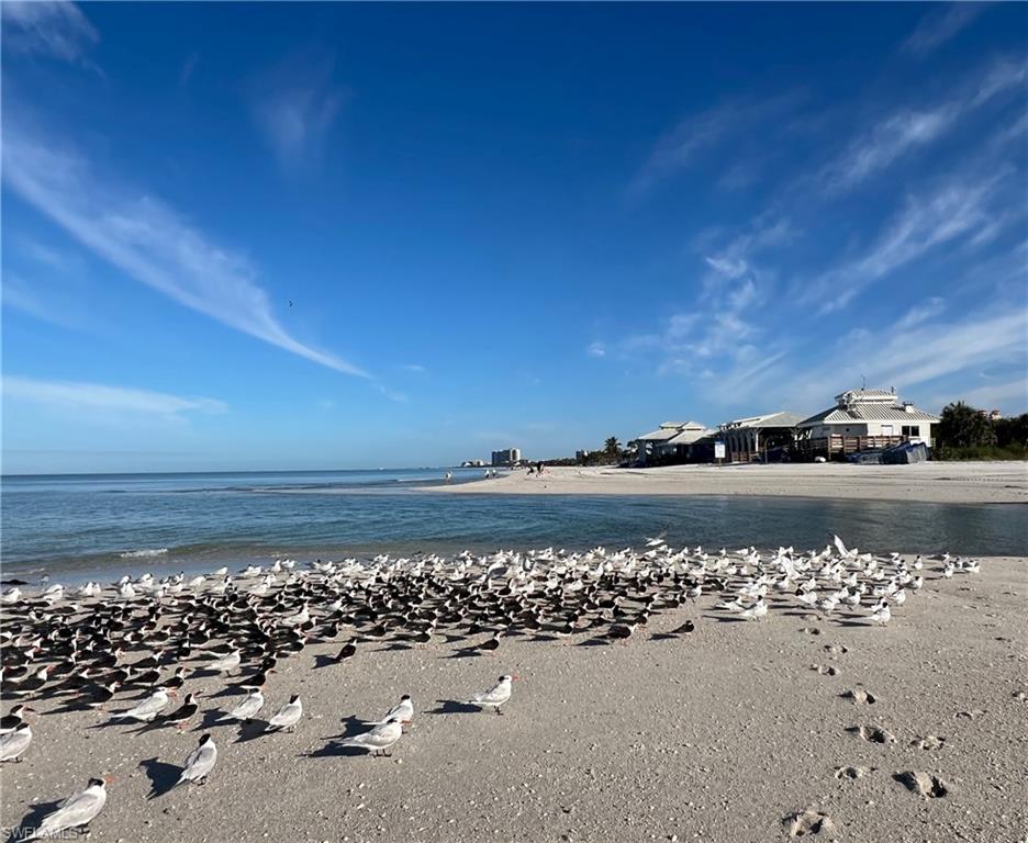 619 Beachwalk CIR I201 photo 27