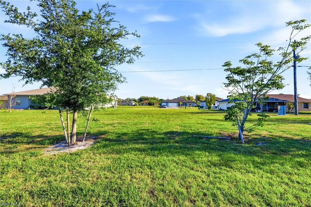 25118 Doredo DR photo 26