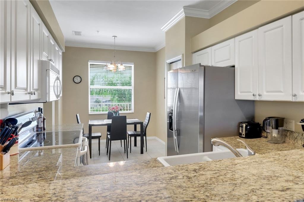 10390 Washingtonia Palm WAY 4443 photo 17