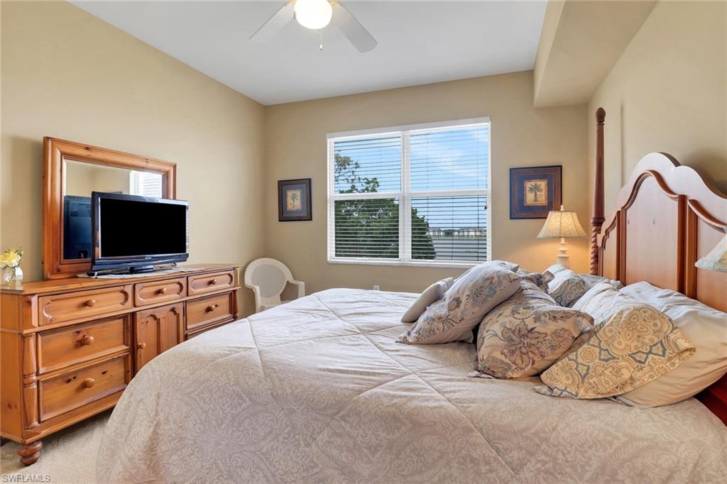 10390 Washingtonia Palm WAY 4443 photo 16