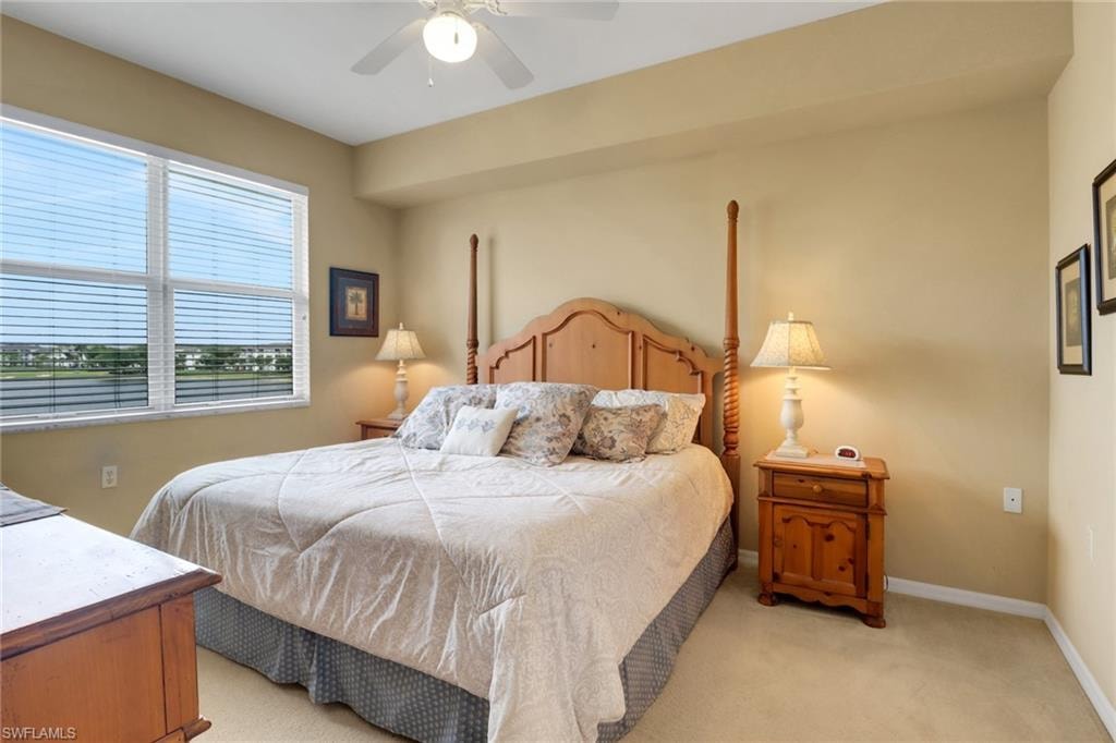 10390 Washingtonia Palm WAY 4443 photo 22