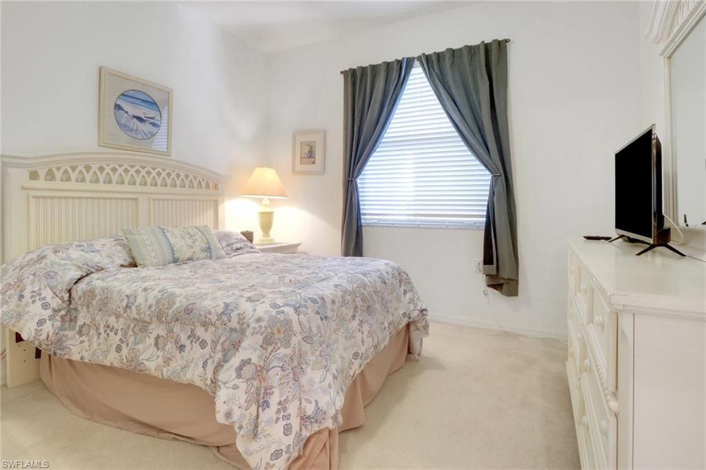 10390 Washingtonia Palm WAY 4443 photo 7