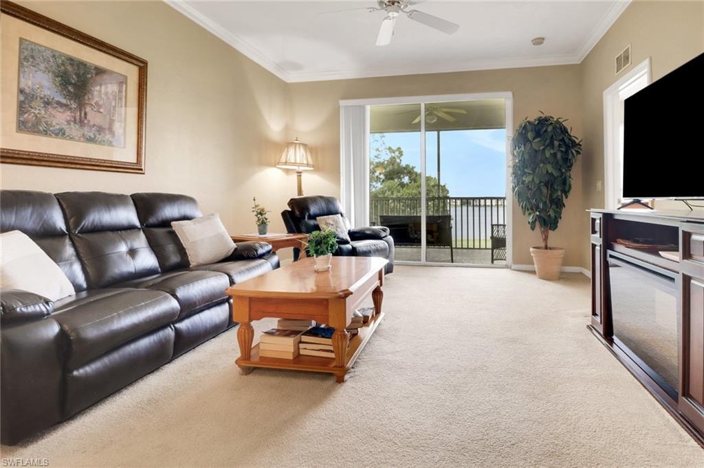 10390 Washingtonia Palm WAY 4443
