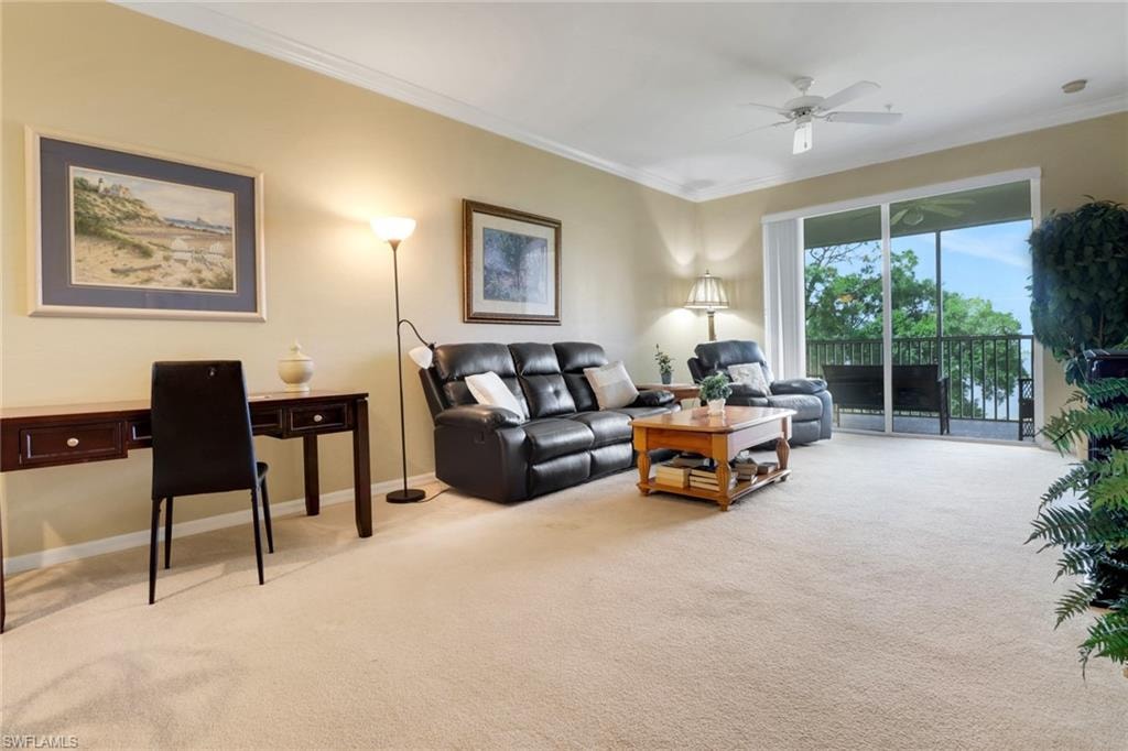 10390 Washingtonia Palm WAY 4443