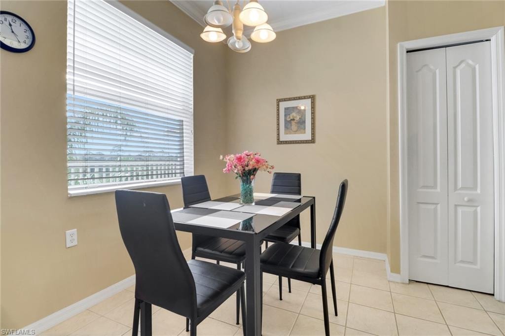 10390 Washingtonia Palm WAY 4443 photo 9