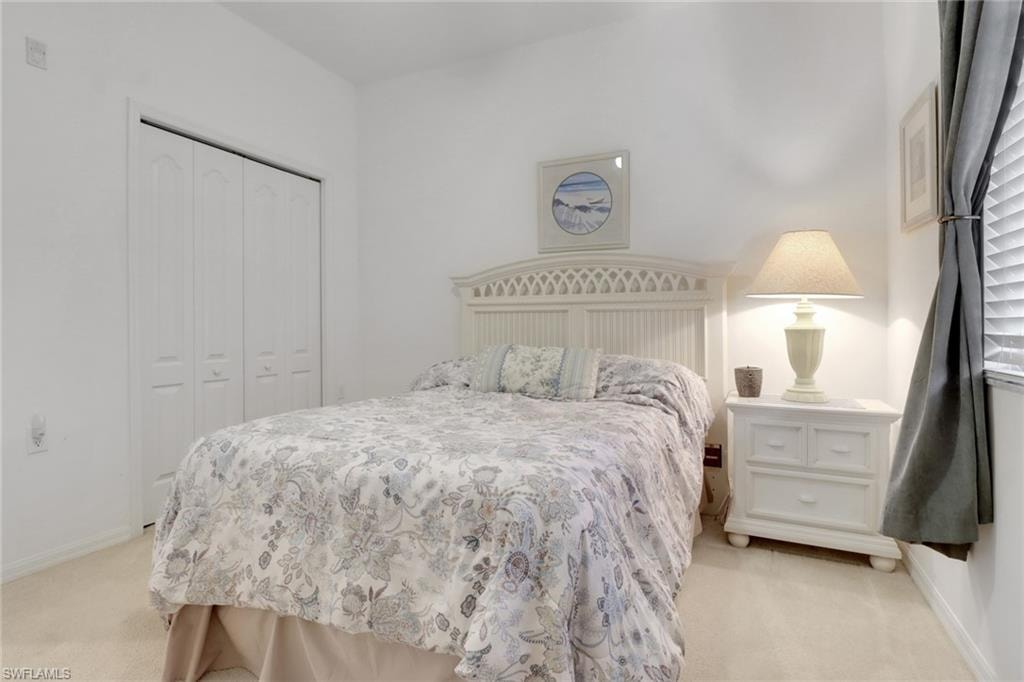 10390 Washingtonia Palm WAY 4443 photo 10