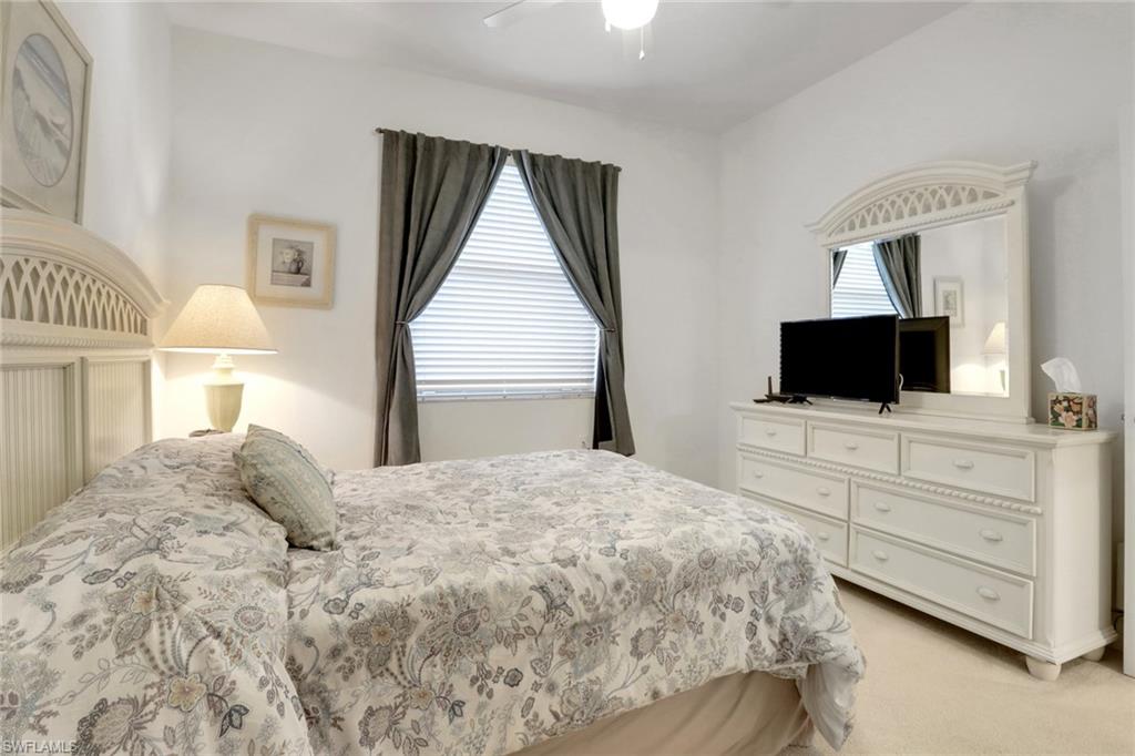 10390 Washingtonia Palm WAY 4443 photo 14