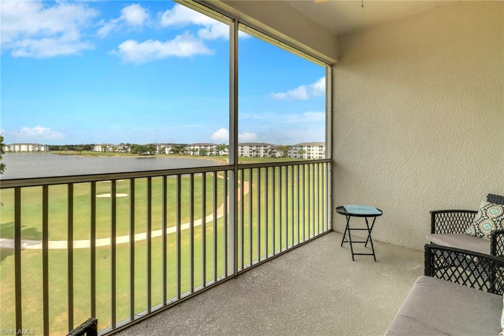 10390 Washingtonia Palm WAY 4443 photo 11