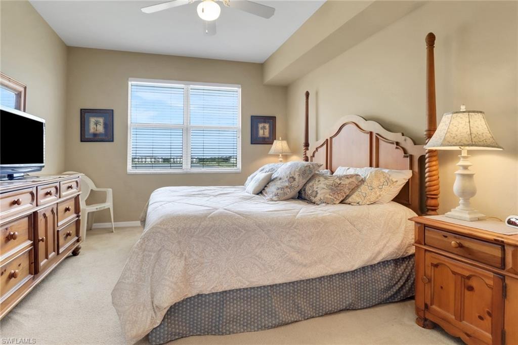 10390 Washingtonia Palm WAY 4443 photo 8