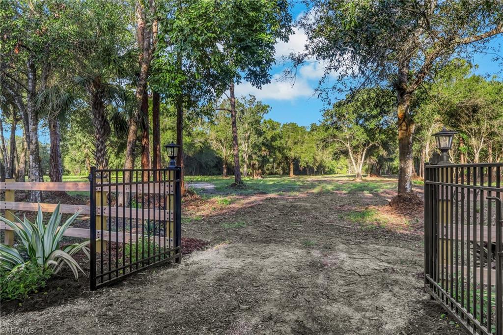 Wrought iron entry gate with decorative lighting, wood-post fencing, mature trees, and natural landscaping