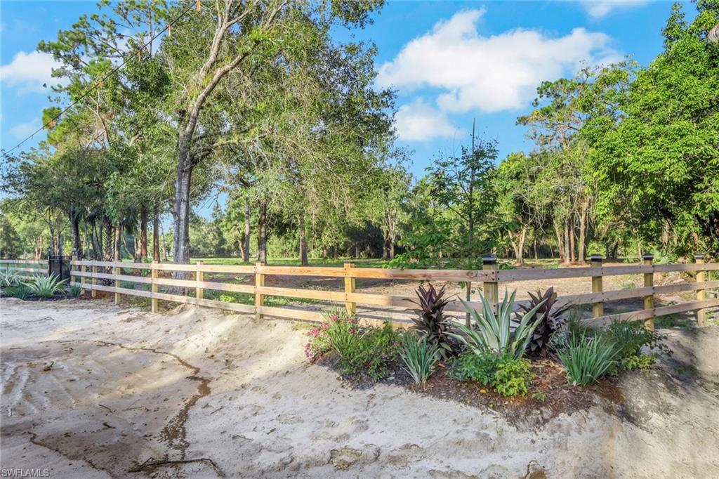 Wood-finish fence, mature trees, and landscaped garden bed with varied plantings