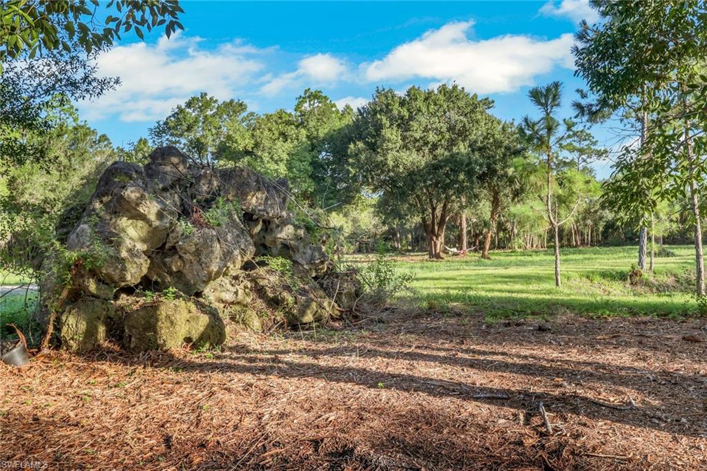 Wood chip ground covering with natural rock feature and lush green field