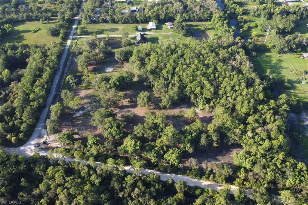 Expansive treed parcel featuring natural landscaping