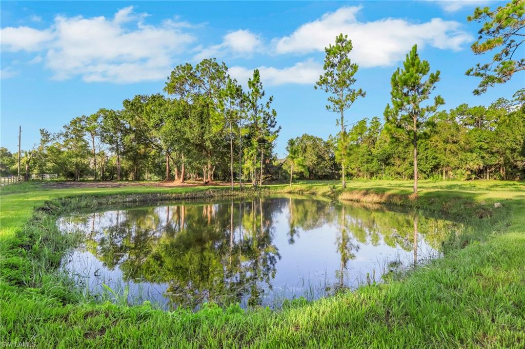 Private pond surrounded by verdant landscaping and mature trees