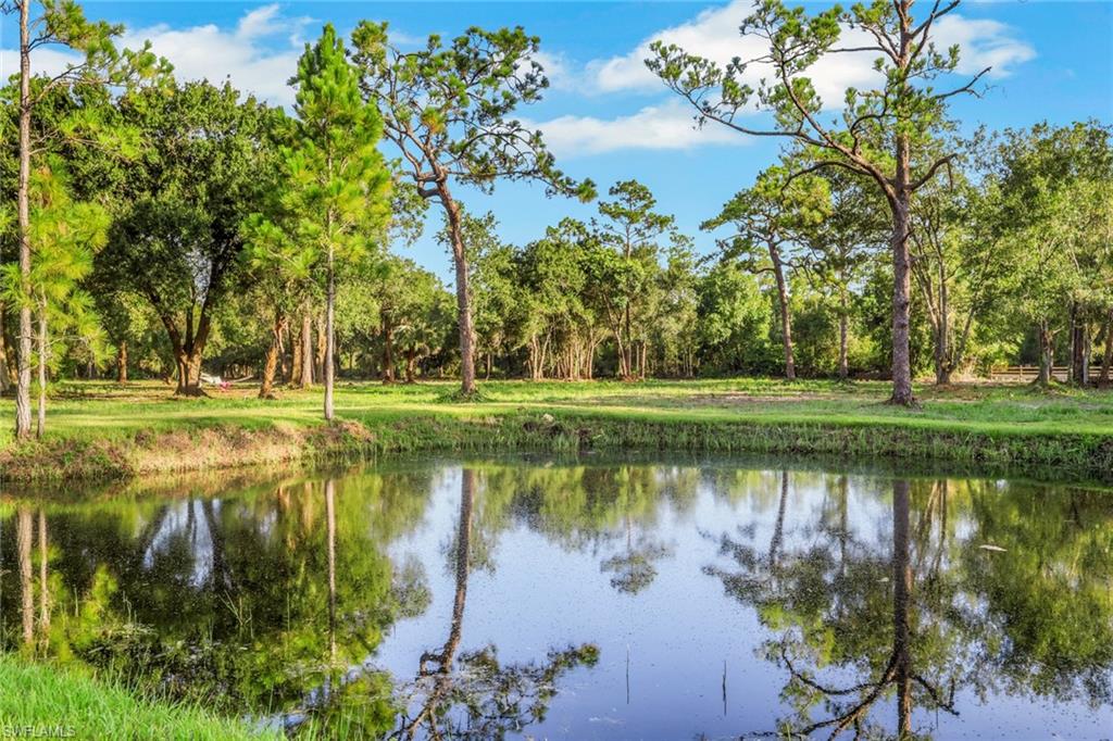 Natural pond with surrounding green grass, bordered by numerous mature trees