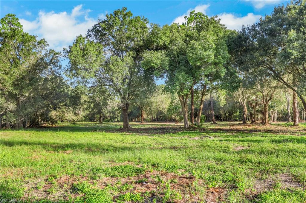 6700 Louella DR photo 19