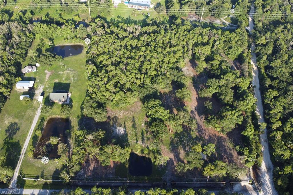 Expansive land parcel featuring multiple water features, abundant mature trees, and existing structures