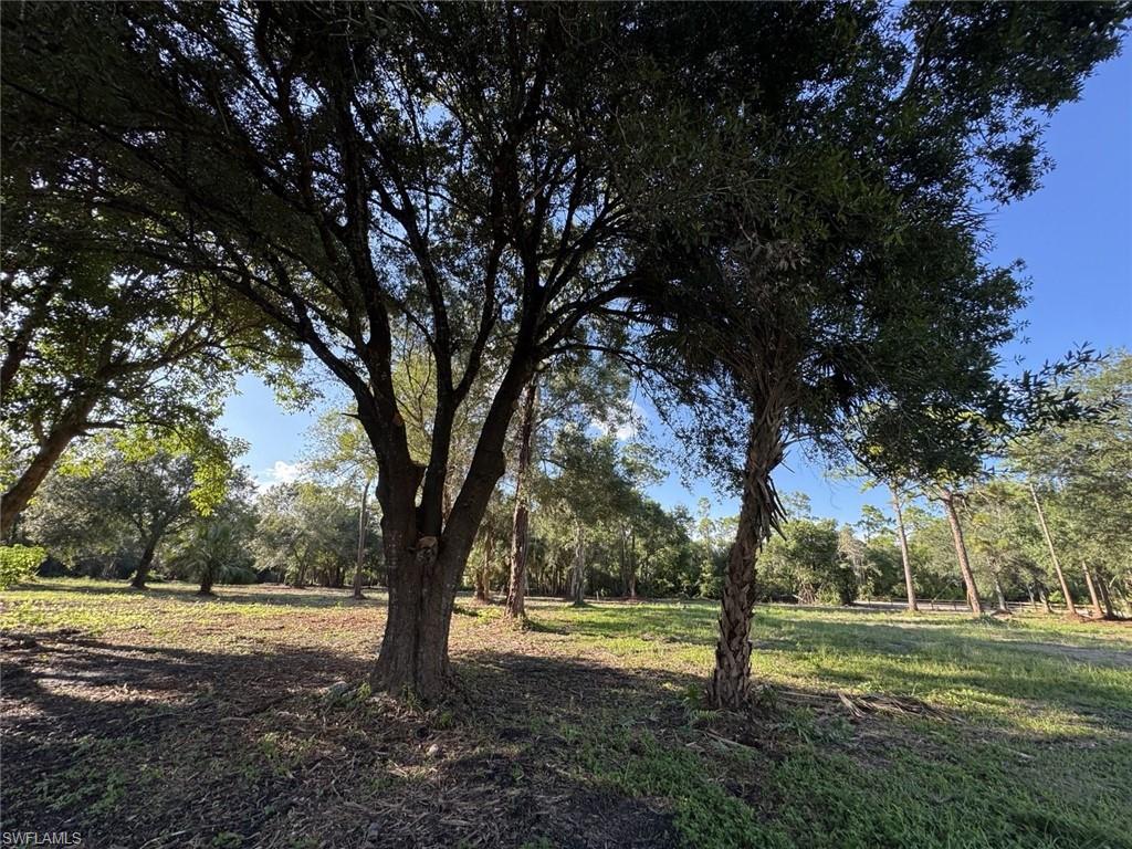 Expansive natural grounds featuring a variety of mature trees and open grassy areas