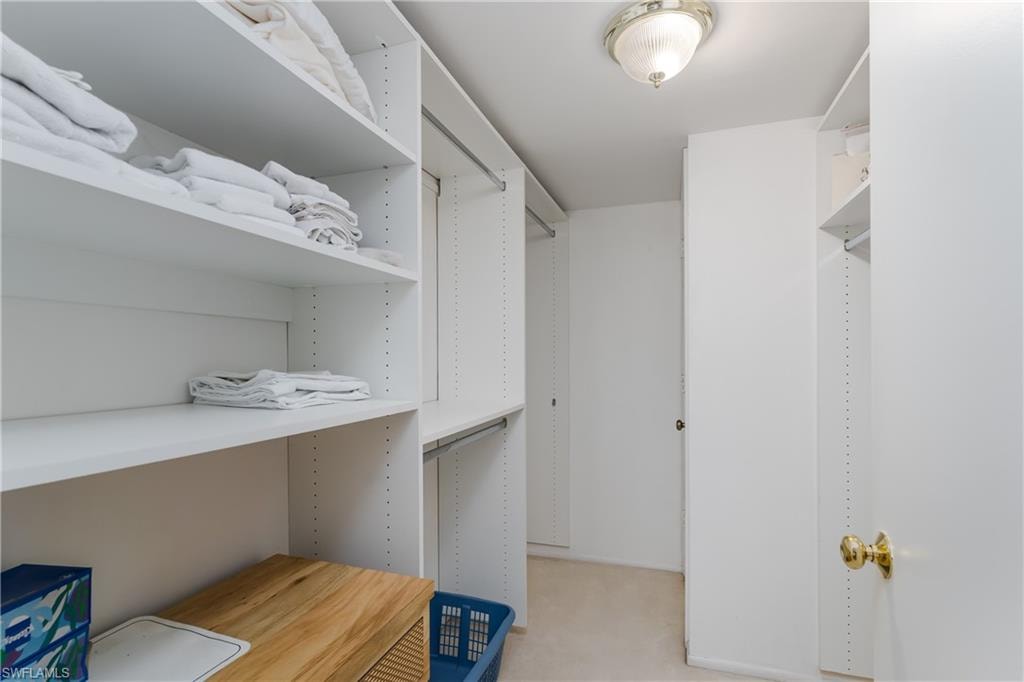 Walk in closet with light carpet