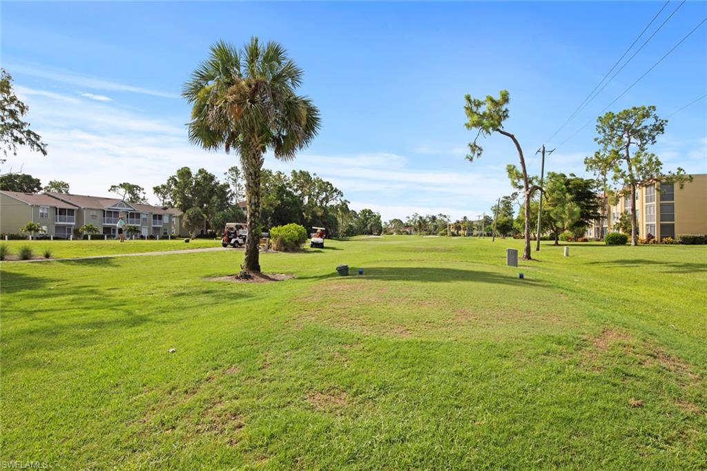 1085 Forest Lakes DR 8305 photo 14