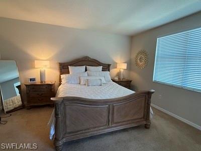 9621 Spanish Moss WAY 3824