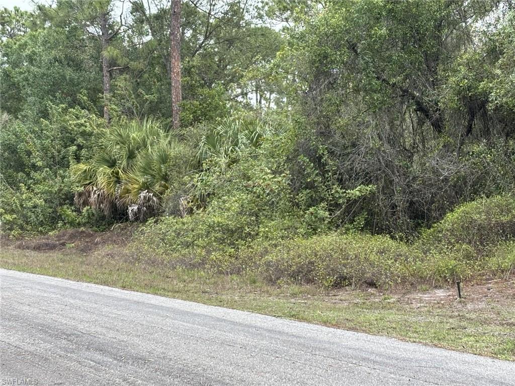The property features dense natural vegetation, including mature trees and palm foliage, bordering a paved road