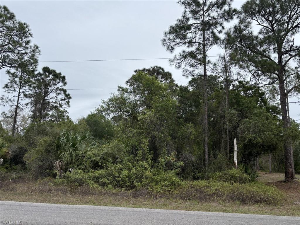 This property features a generously sized lot with mature trees and dense vegetation, offering privacy and a natural setting