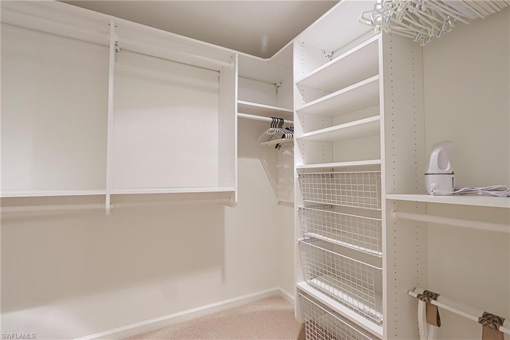 Spacious closet featuring carpet
