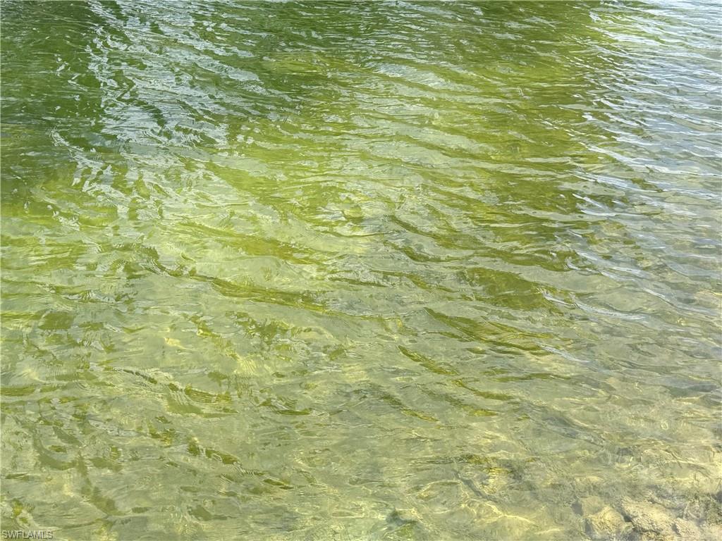 CLEAR water canal