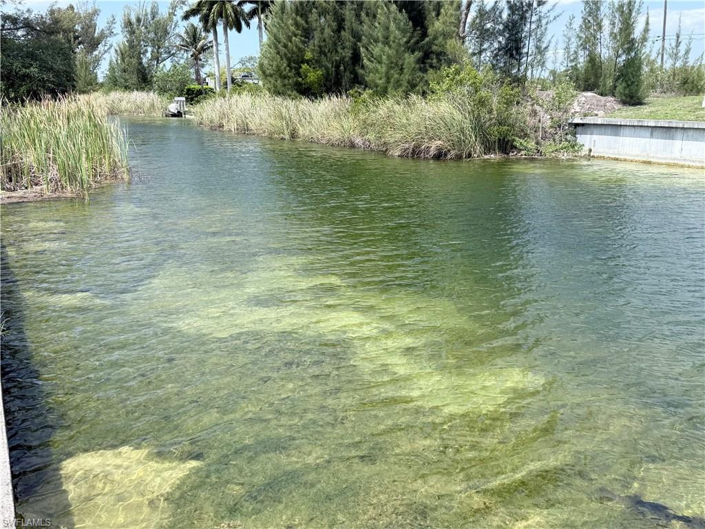 CLEAR water canal