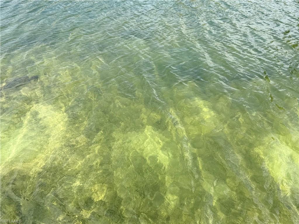 CLEAR water canal