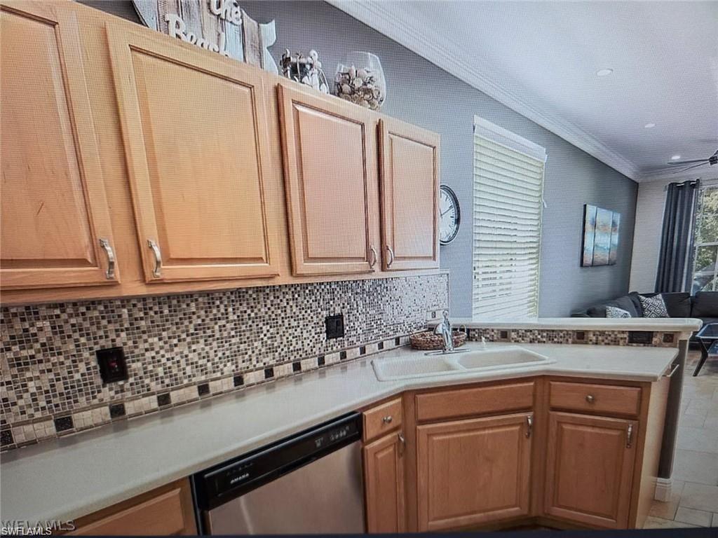 11251 Jacana CT 1908 photo 13