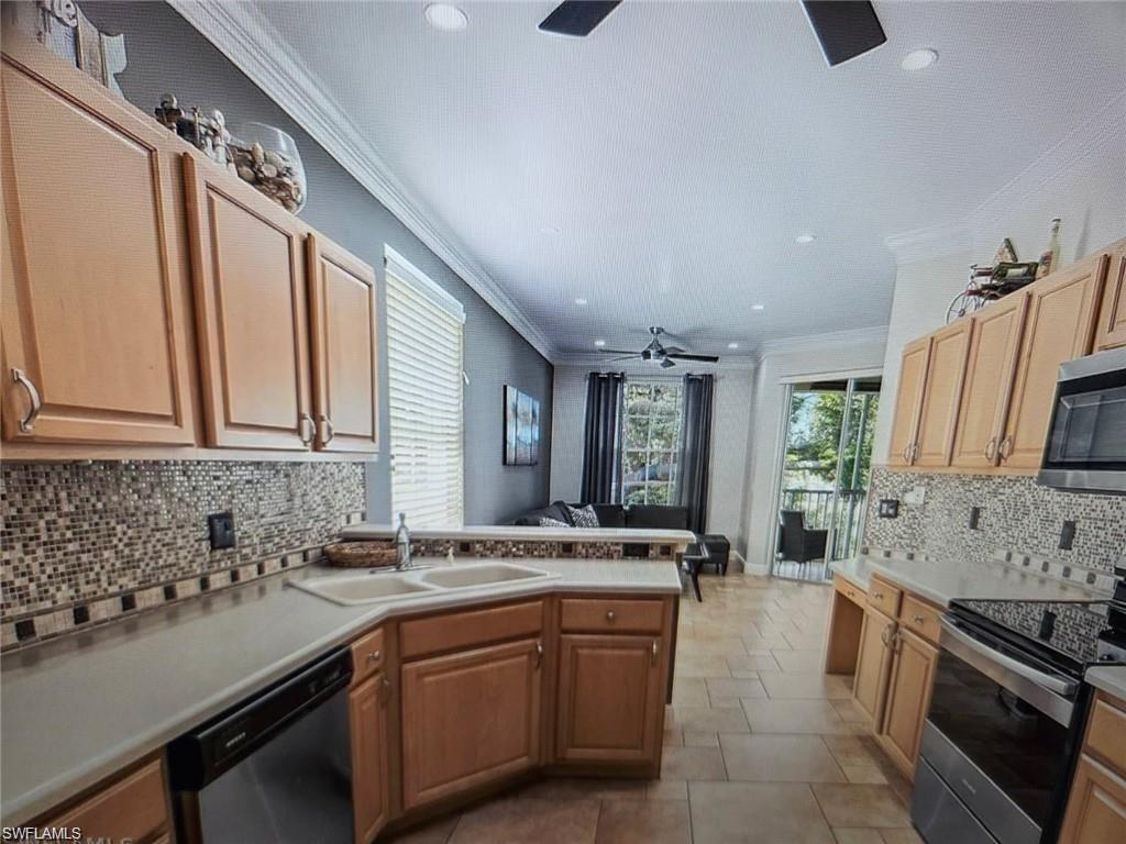 11251 Jacana CT 1908 photo 12