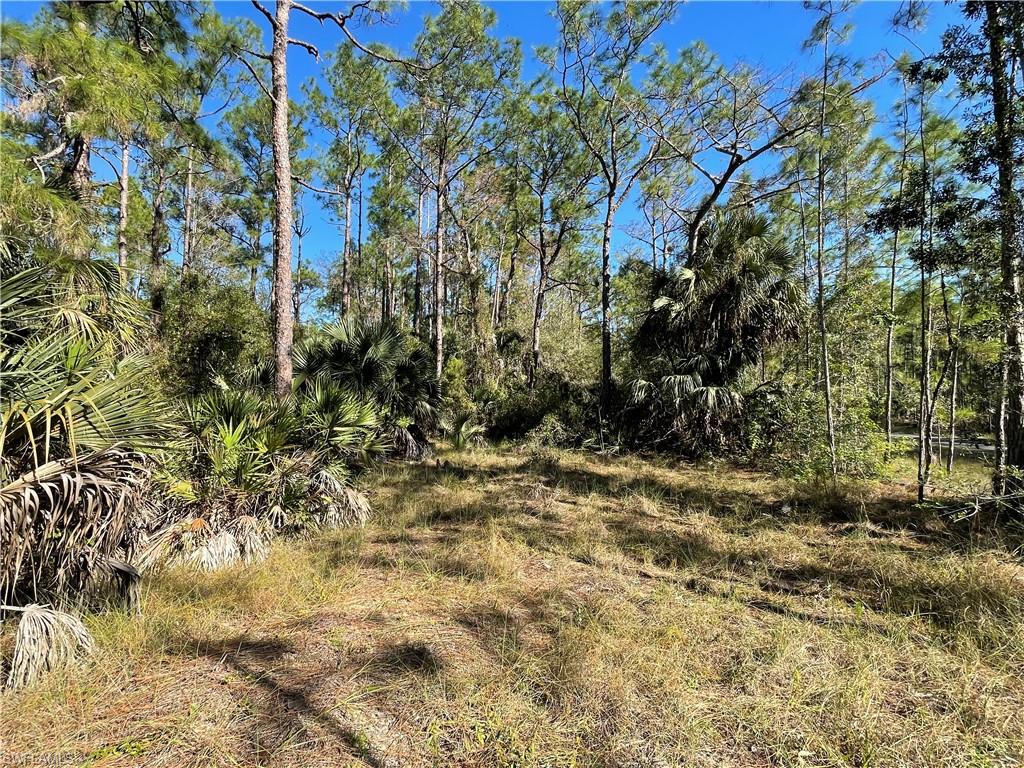 308 Rosanna AVE photo 9