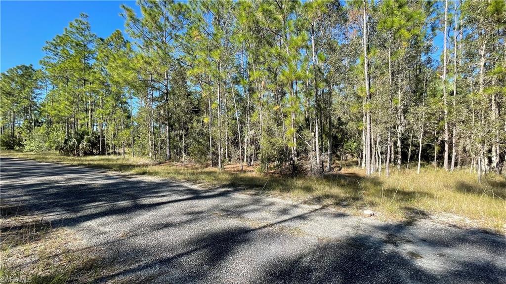 308 Rosanna AVE photo 10