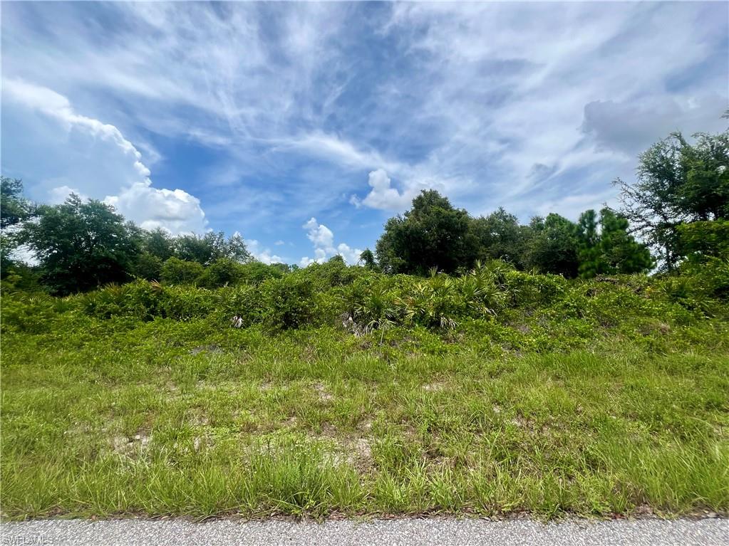 View of undeveloped land
