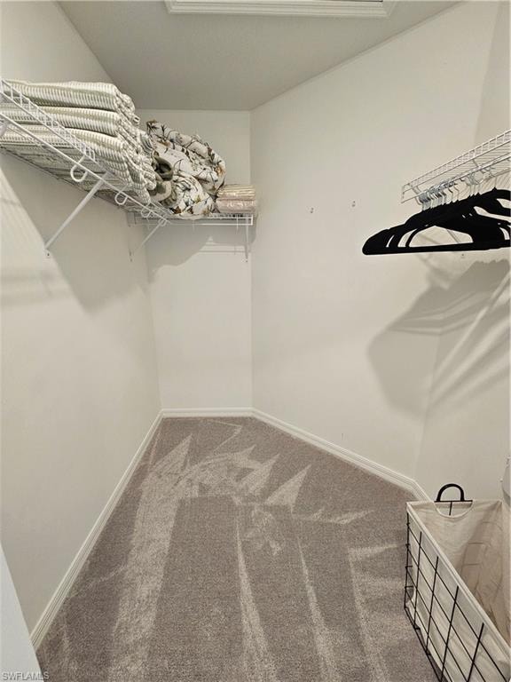5427 Double Eagle CIR 2826 photo 27